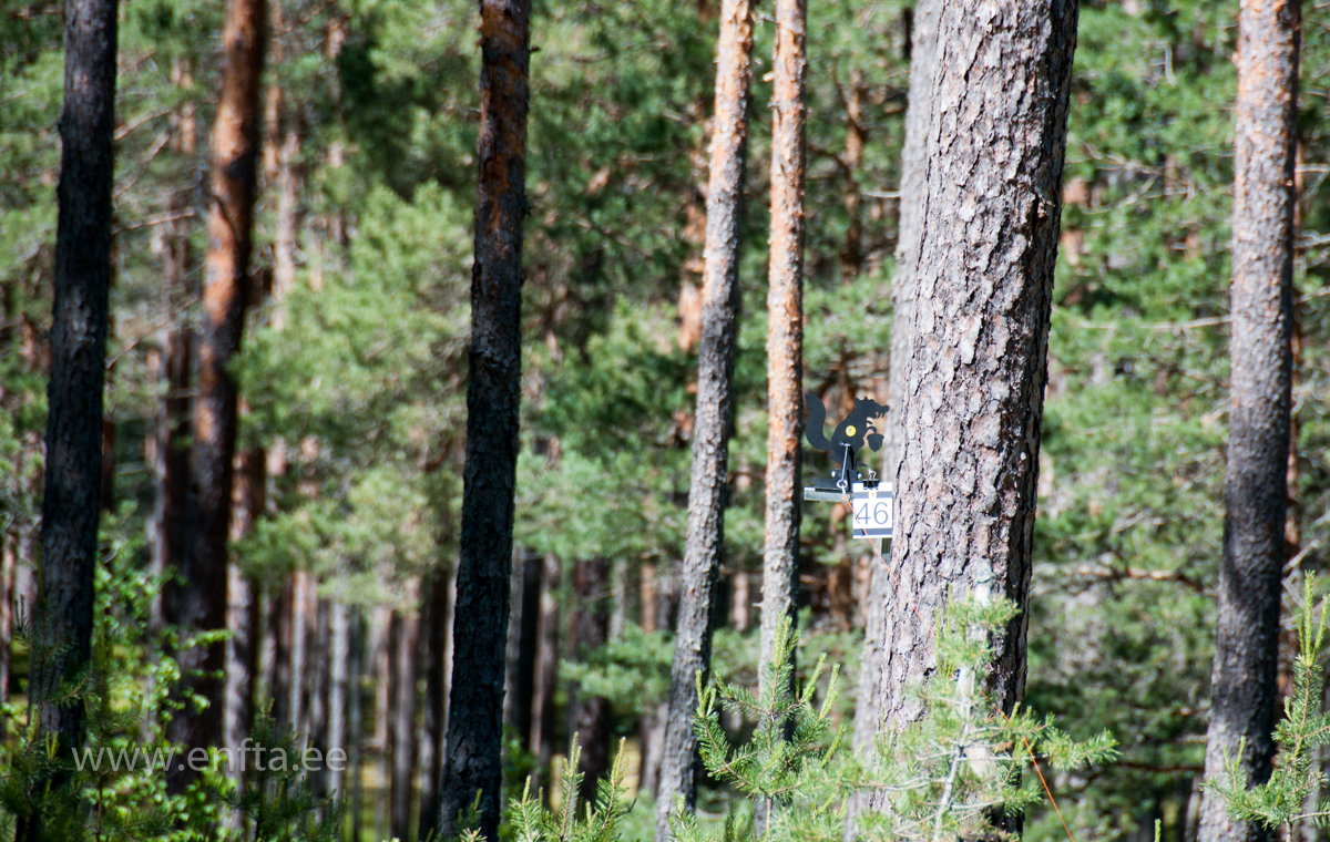 PFTK  in Joulumae (98)